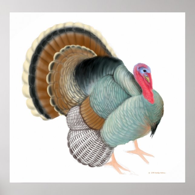 The Big Turkey Print (Front)