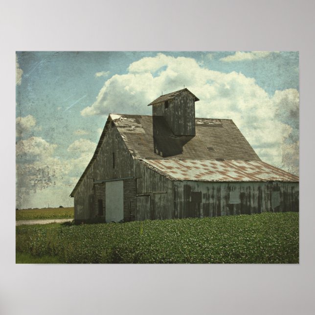 The Big White Barn Poster (Front)