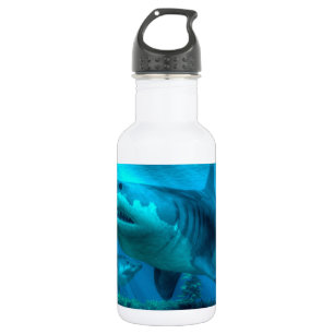 The Biggest Shark 532 Ml Water Bottle