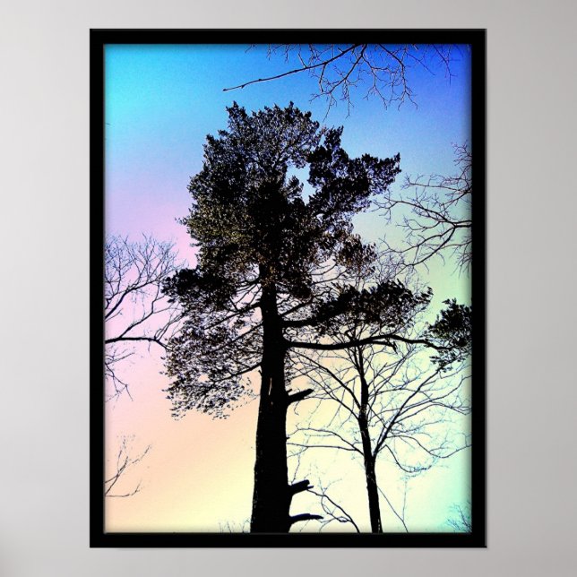 The Biggest Tree Poster (Front)