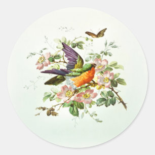 The bird and the butterfly classic round sticker