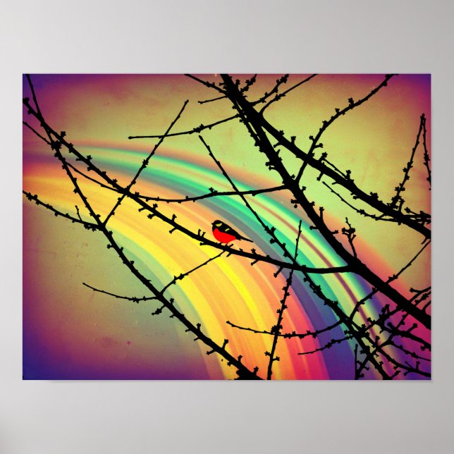 The bird and the rainbow poster (Front)
