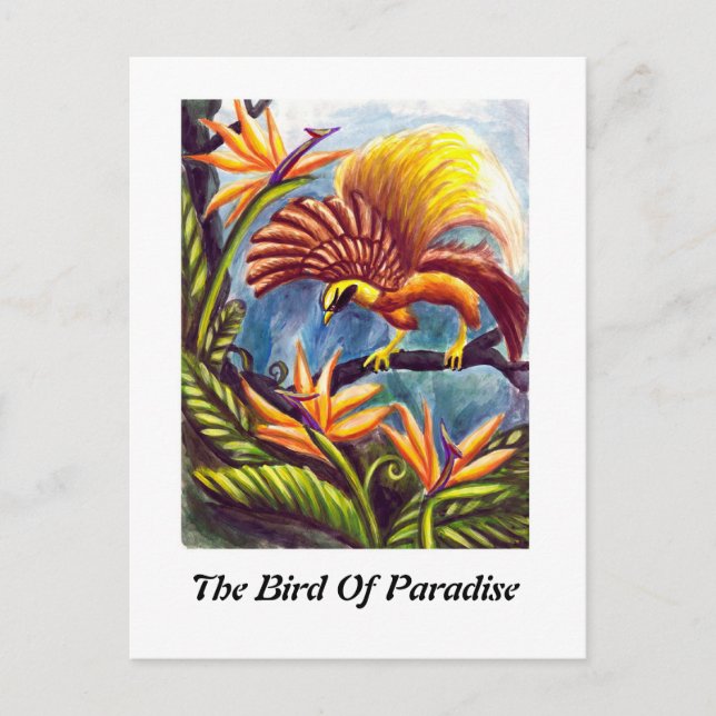 The Bird of Paradise Postcard (Front)