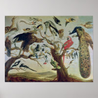 The Bird's Concert