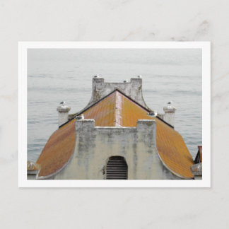 The Birds of Alcatraz Postcard