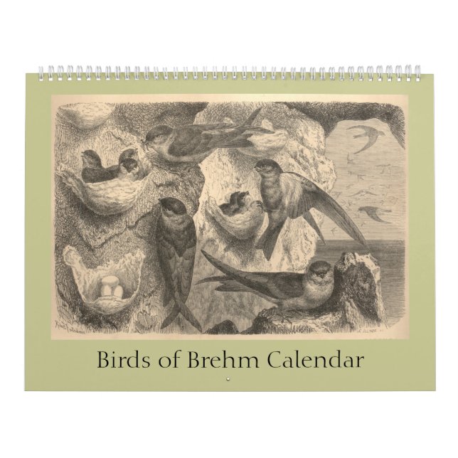 The Birds of Brehm Calendar (Cover)