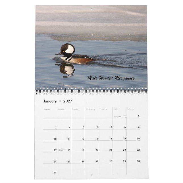 The Birds of Forsythe Calendar (Jan 2027)