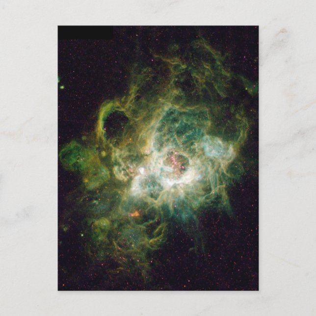 The Birth Of A Star Postcard (Front)