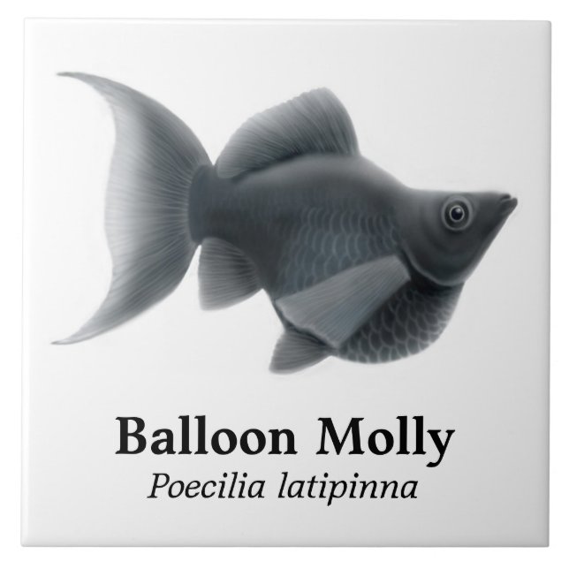 The Black Balloon Molly Tile (Front)