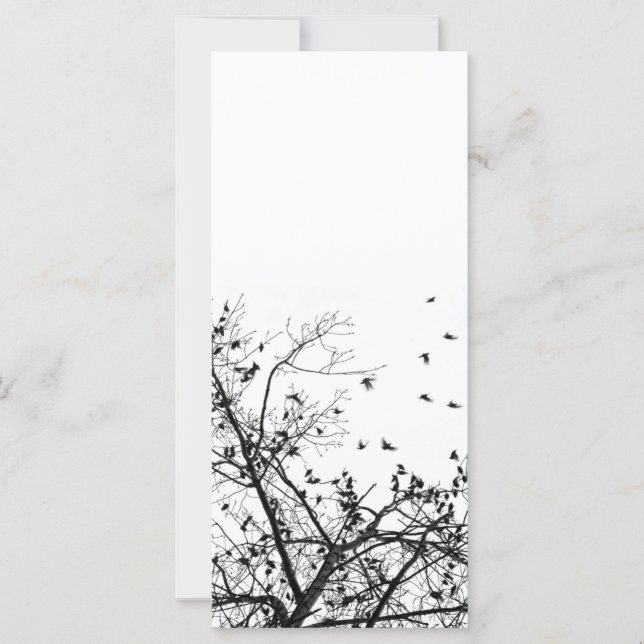 the black birds (Front)