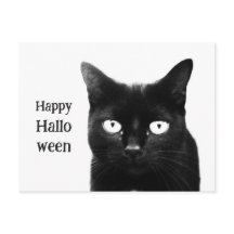The Black Cat Halloween
