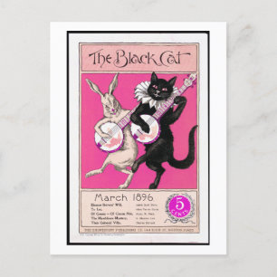 The Black Cat Postcard