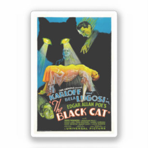 The Black Cat (vintage movie poster)