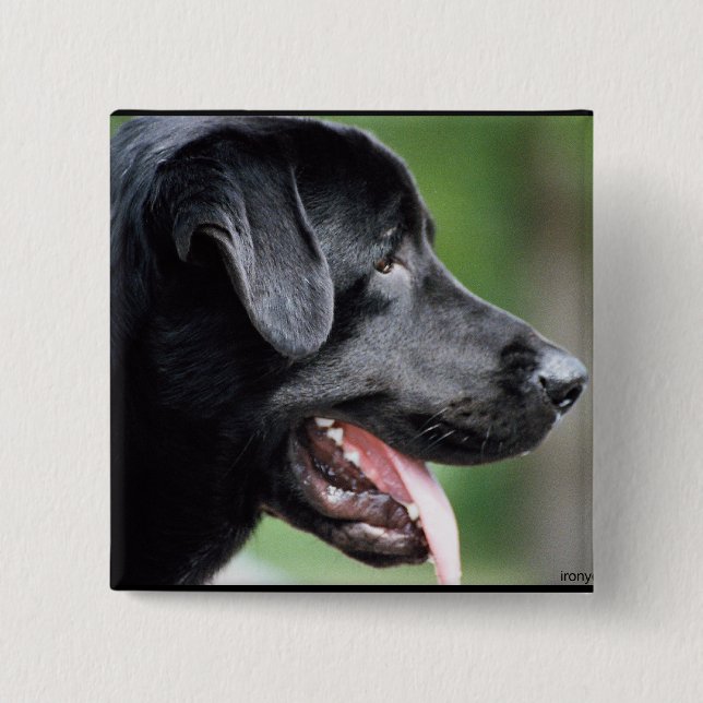 The Black Labrador 15 Cm Square Badge (Front)