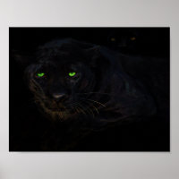 The black panther poster