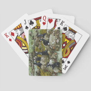 The Black Rabbits of Hy-Brasil Playing Cards