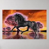 The Black Stallion .. fantasy image..