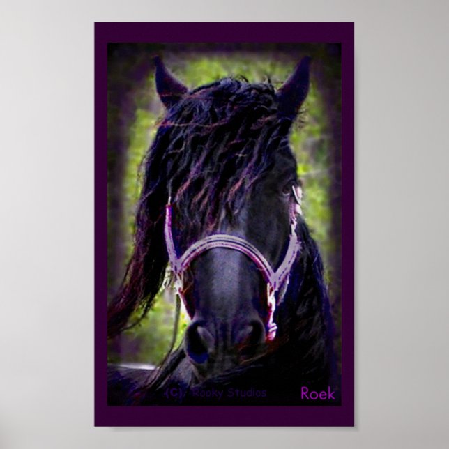 The Black Stallion Print (Front)