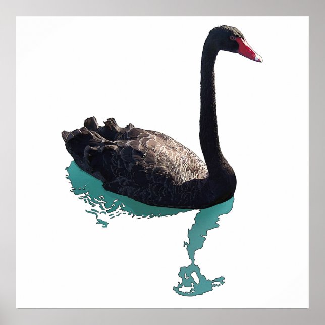 The Black Swan Poster (Front)