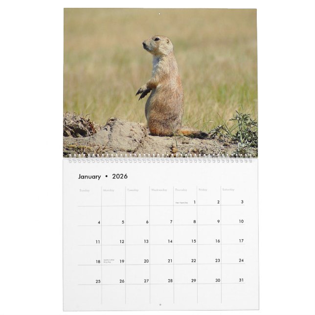 The Black-tailed Prairie Dog 2015 Calendar (Jan 2026)