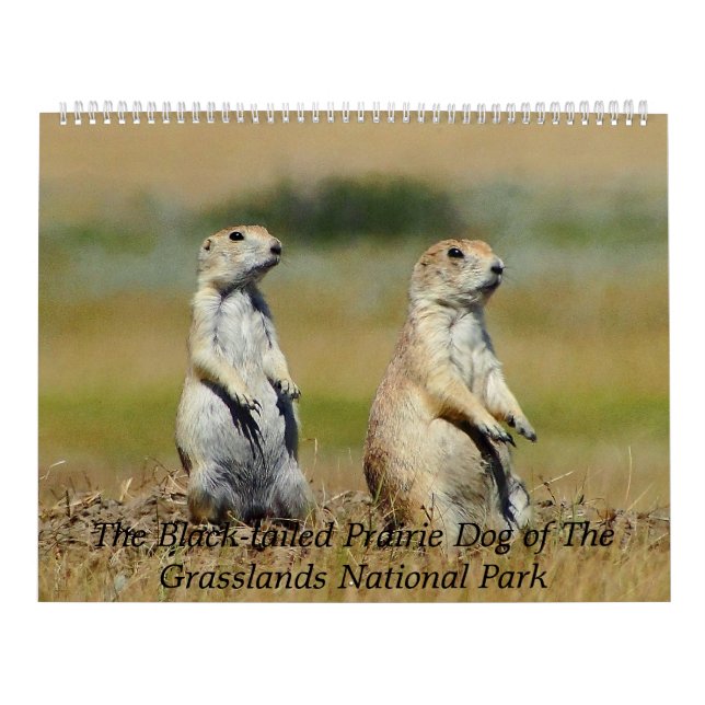 The Black-tailed Prairie Dog Calendar (Cover)