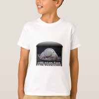 The Blob Fish