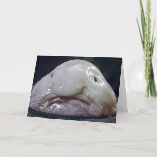 The Blobfish Card