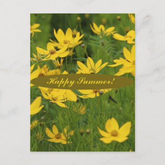The blooming yellow daisy postcard