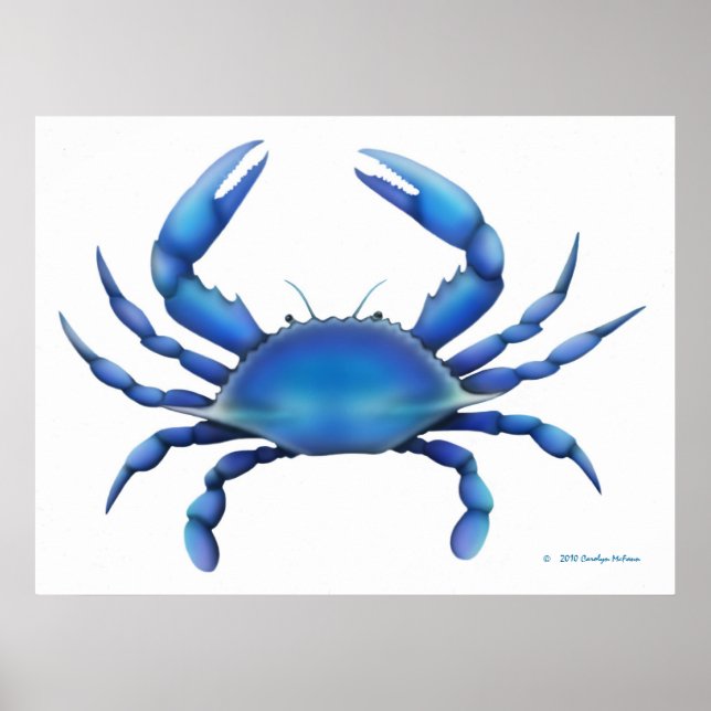 The Blue Crab Print (Front)