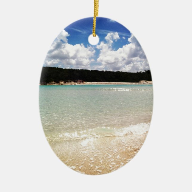 The Blue Lagoon Ceramic Tree Decoration (Front)