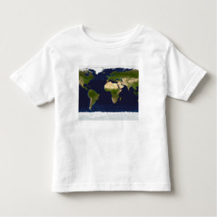 The Blue Marble Toddler T-Shirt