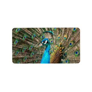 The blue peacock label