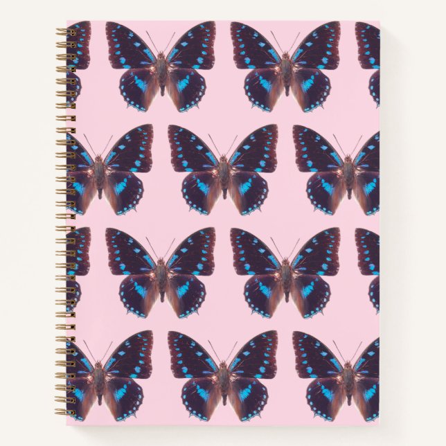 The Blue Swallowtail Butterfly Hardcover  Notebook (Front)