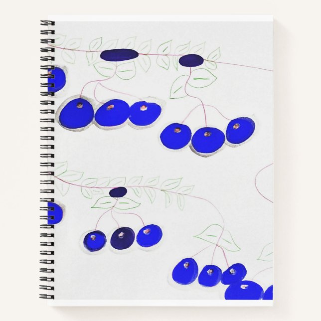 The blueberry notebook (Front)