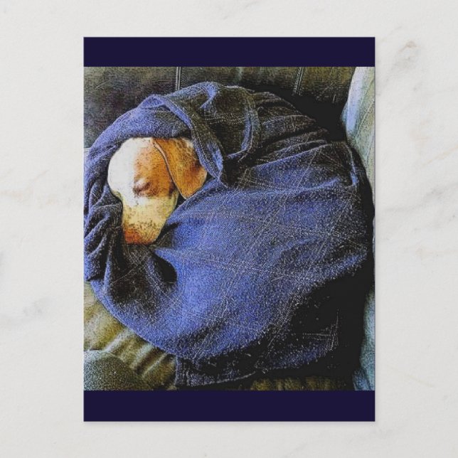 The Bo Ball Postcard (Front)