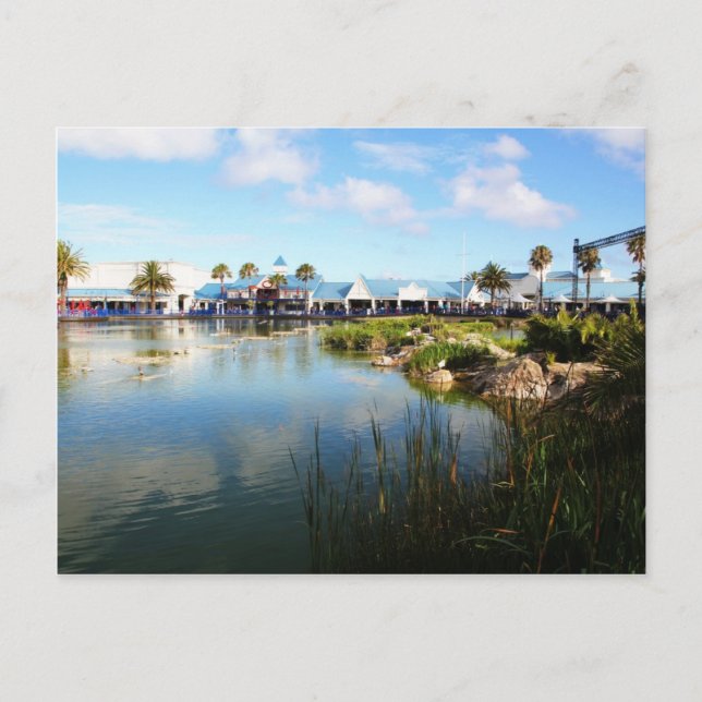 The Boardwalk at Port Elizabeth Postcard (Front)