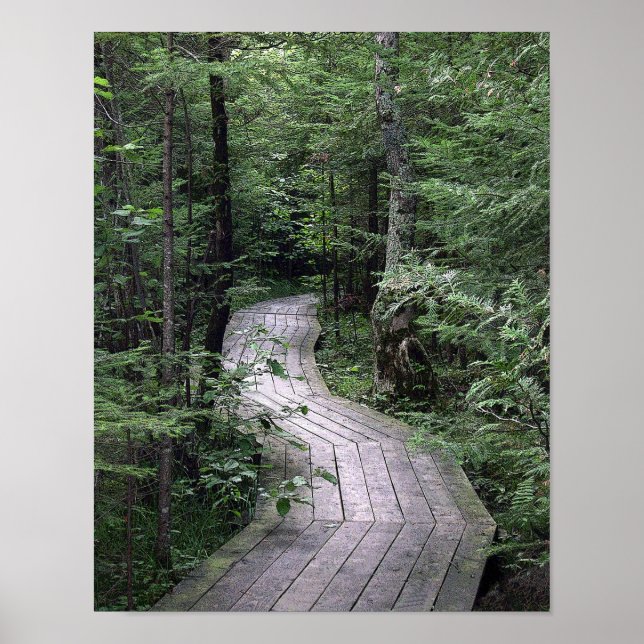 "The Boardwalk" Poster (Front)