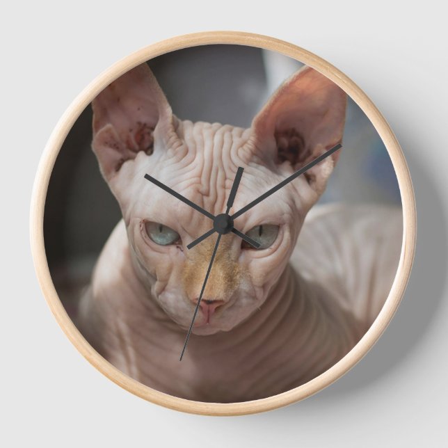 The Bold Cat – Artistic Wall Clock for Cat Lovers (Front)