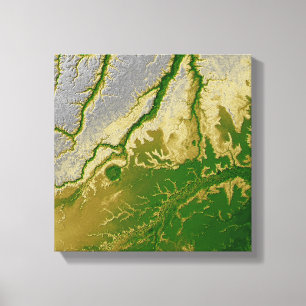 The Bolivian Amazon Canvas Print