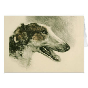 The Borzoi Card