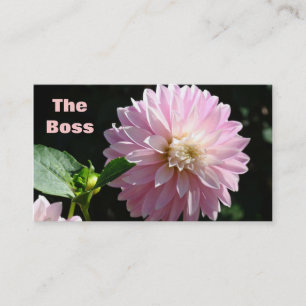 The Boss business Cards Humour Pink Dahlias