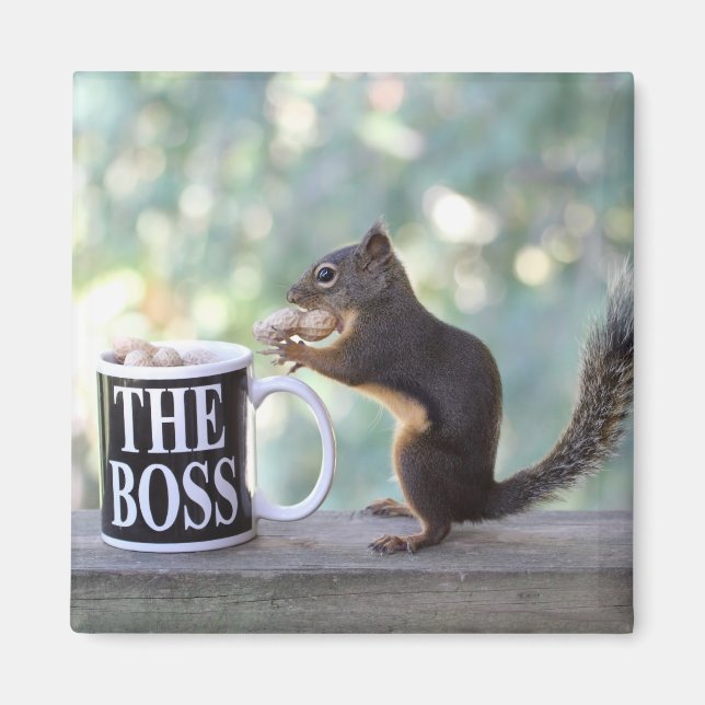 "The Boss" Squirrel Magnet (Front)