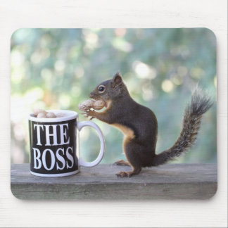 "The Boss" Squirrel Mouse Pad