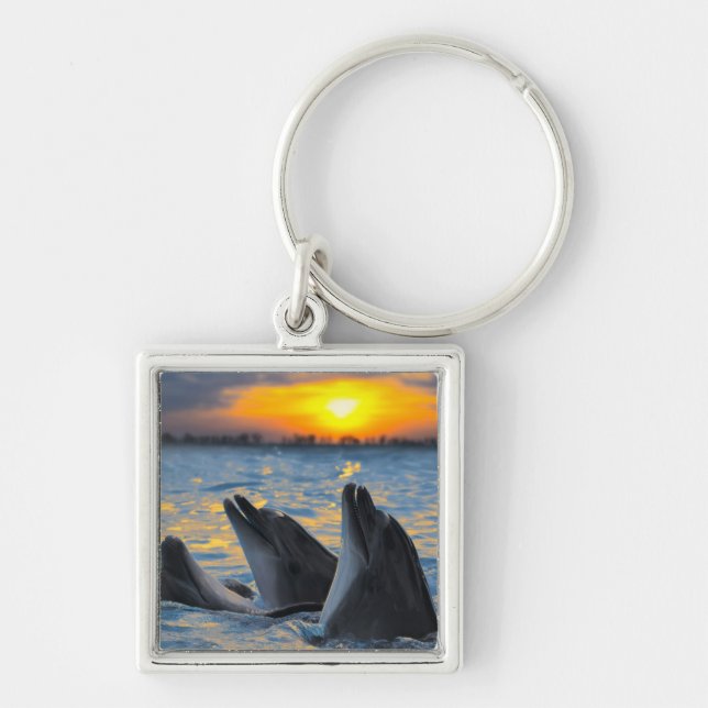 The bottle-nosed dolphins in sunset light key ring (Front)
