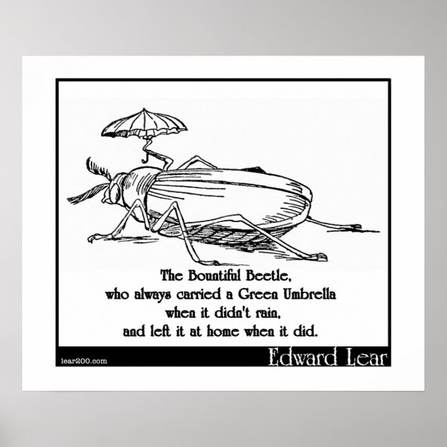 The Bountiful Beetle Poster (Front)