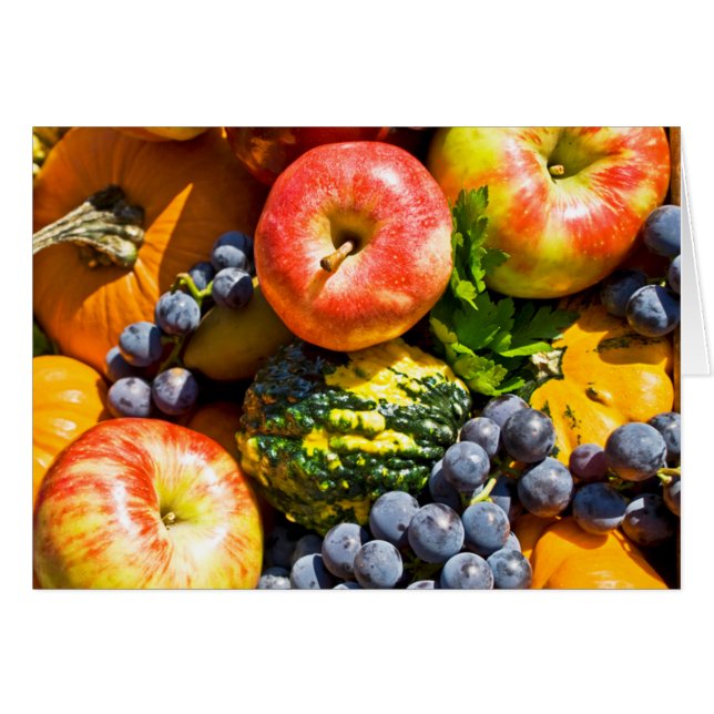 The Bounty (Front Horizontal)