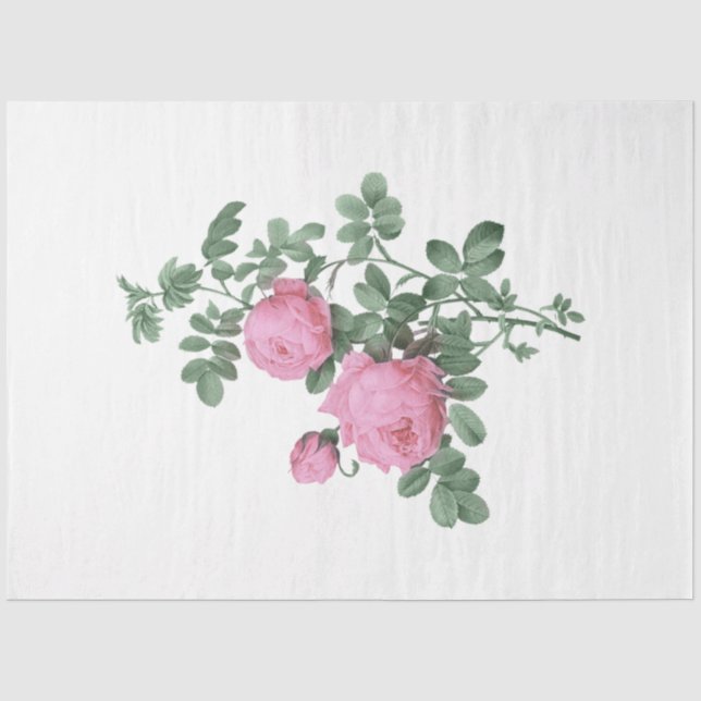 The Bouquet Series Design 119 Tissue Paper (Front)