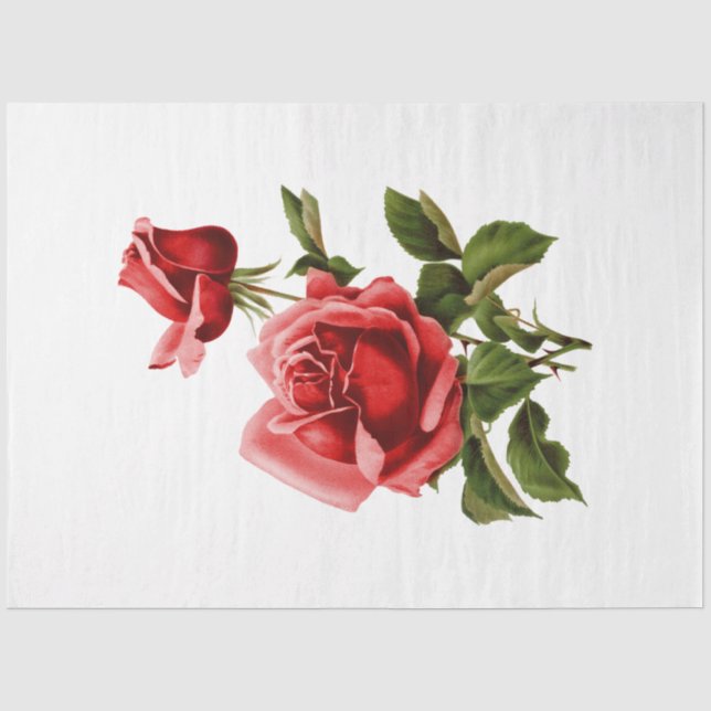 The Bouquet Series Design 134 Tissue Paper (Front)