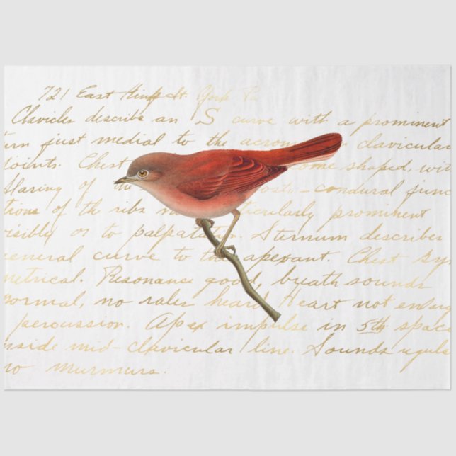 The Bouquet Series Design 140 Tissue Paper (Front)