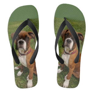 THE BOXER DOG flip flops